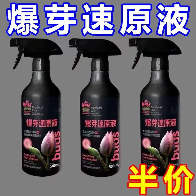 植物爆芽素营养液多肉三角梅