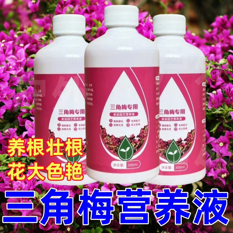 三角梅营养液专用催花养花通用型梅花盆栽家用花卉促家庭养花肥料