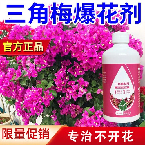 【正品】三角梅专用营养液梅花植物盆栽花卉家用养花促花通用肥料