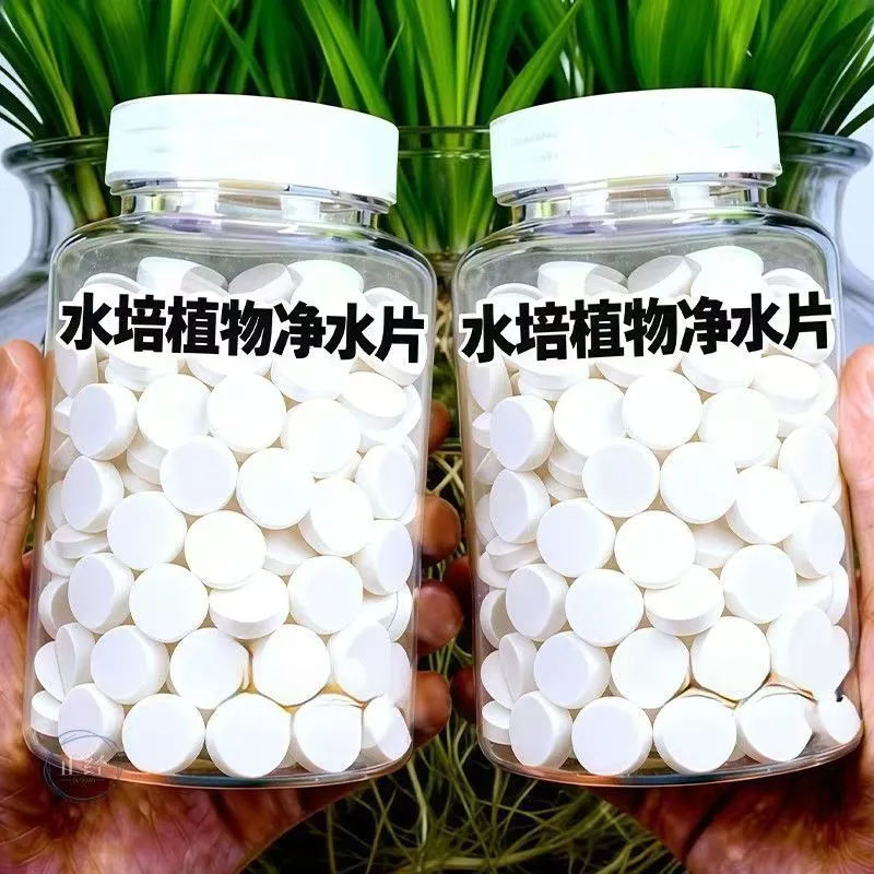 富贵竹净水片水培植物消毒片水养竹保鲜剂净化水质花期延长保鲜剂