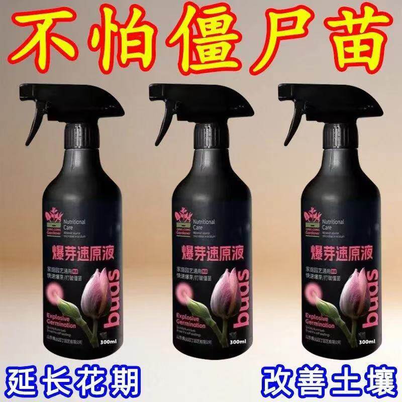 多肉叶插爆芽素芽营养液