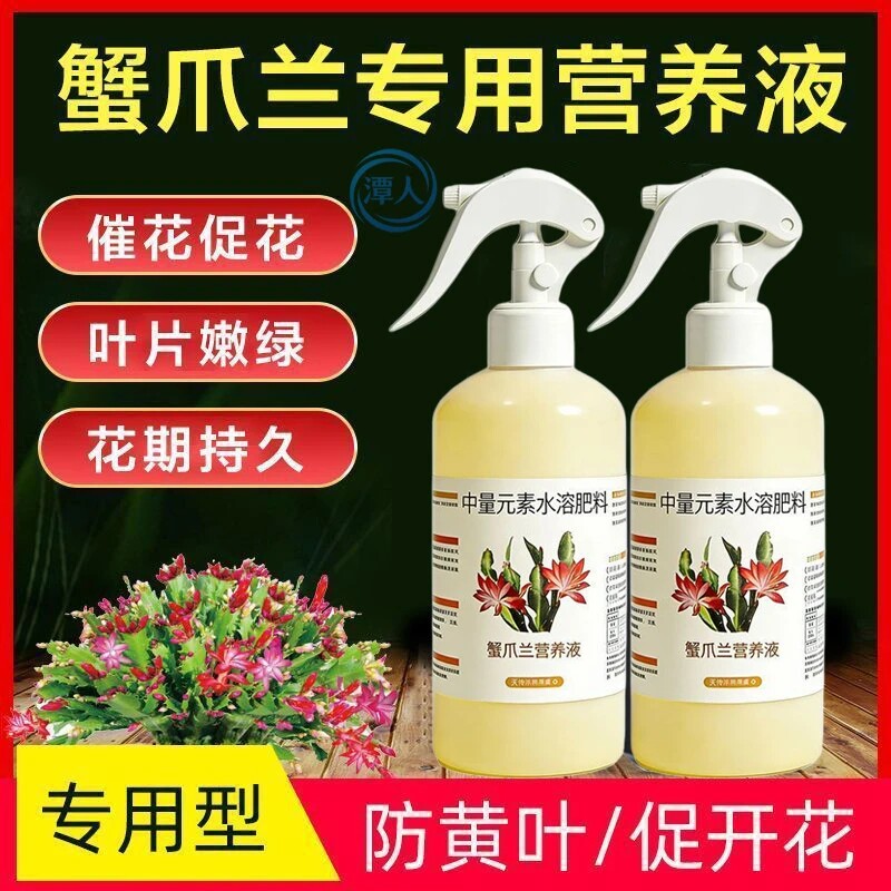 蟹爪兰专用营养液免稀释花