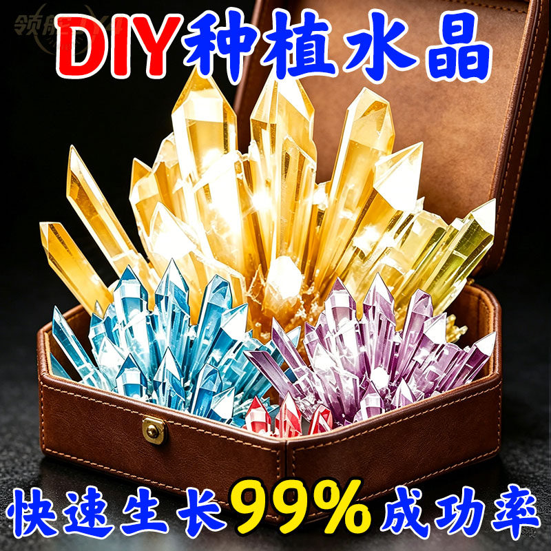 魔法水晶石儿童益智种植小实验