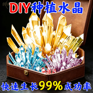 魔法水晶石儿童益智种植小实验