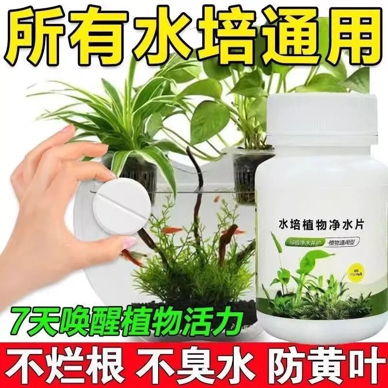 水培通用净水片鲜花保鲜防黄叶