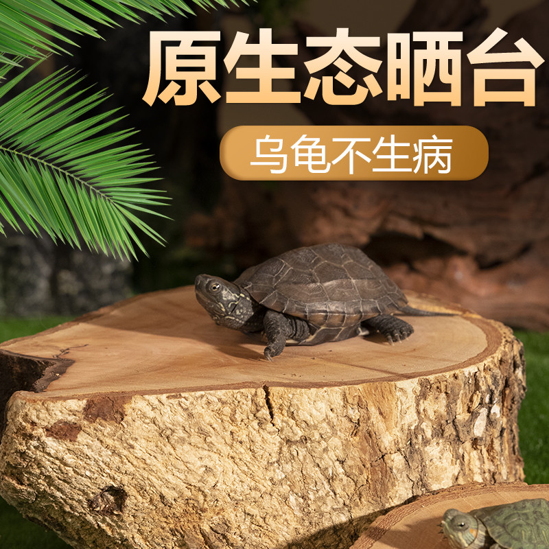 乌龟缸晒台养龟生态造景龟缸晒台休息台养乌龟专用木投喂台喂食台
