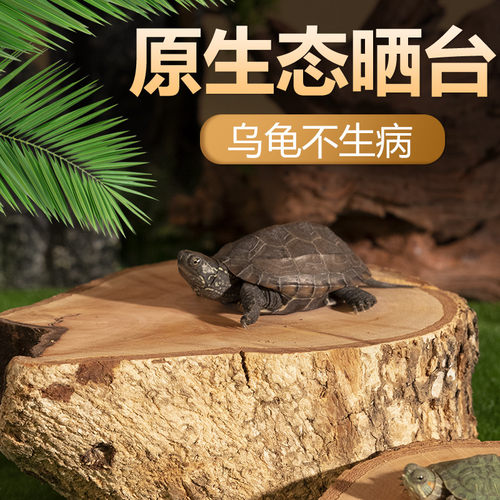 乌龟缸晒台养龟生态造景龟缸晒台休息台养乌龟专用木投喂台喂食台