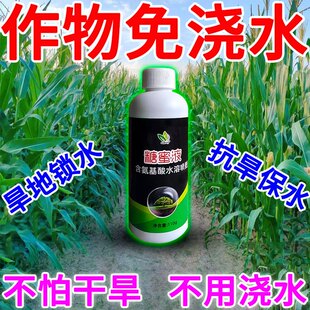 农林抗旱保水剂农用保湿抗旱剂节水苗木运输护根土壤便宜人工通用