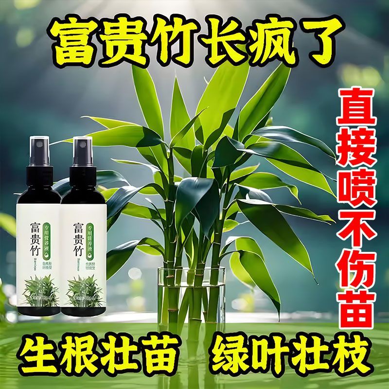 富贵竹营养液专用免稀释观音竹植物水培养通用肥料家用盆栽营养液