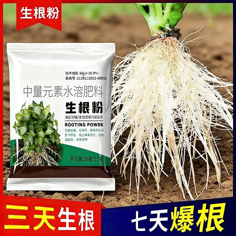 速效生根粉插杆水培土培通用强效