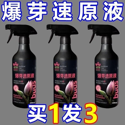 植物爆芽素原液通用型营养液多肉三角梅促芽催芽爆芽叶插营养液