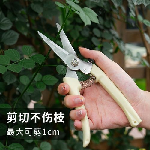 剪刀修枝剪果树修枝剪刀园艺园林花剪花枝工艺剪绿植花卉剪枝通用