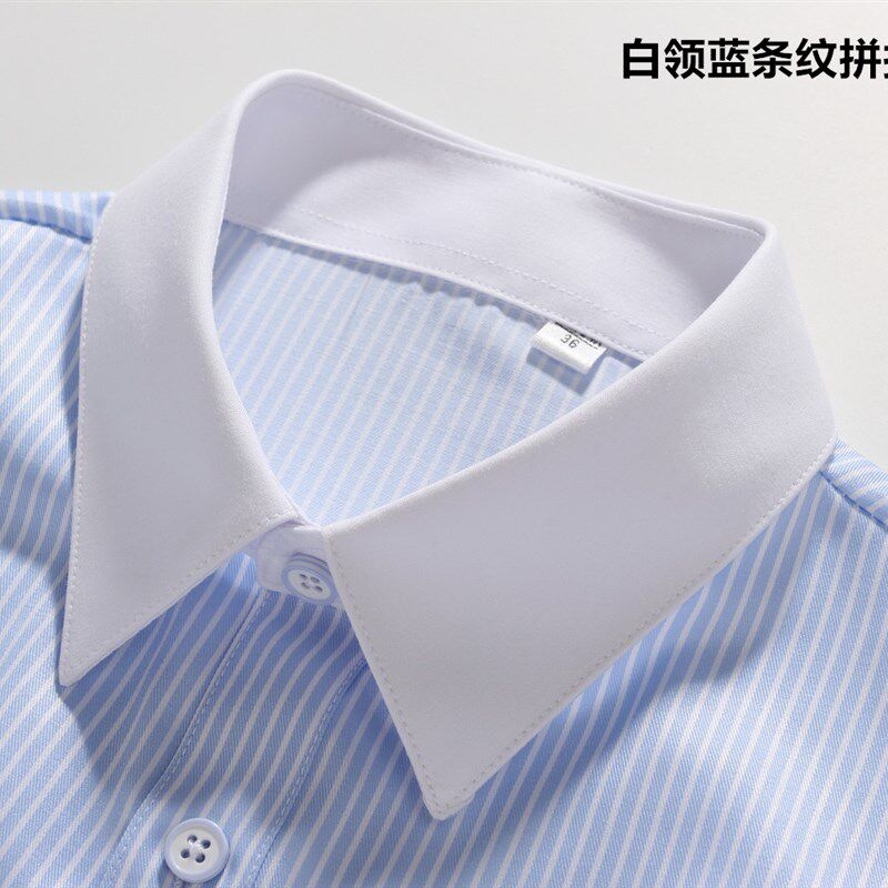 女式正装领白领蓝色p条纹长袖衬衫方领条纹工作服职业装衬衣