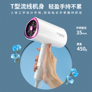 丽园街电吹风机家用大功率学生网红款风筒发廊静音冷热不伤发旅行