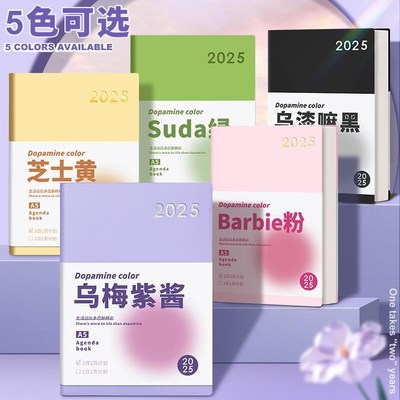 2025全年日程本计划表新款定制笔记本子工作日记本一日一页记事本