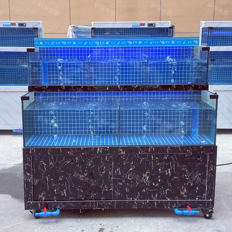 海鲜池商用制冷机一体超市酒店饭店专用鱼池海鲜鱼缸海鲜缸贝类池