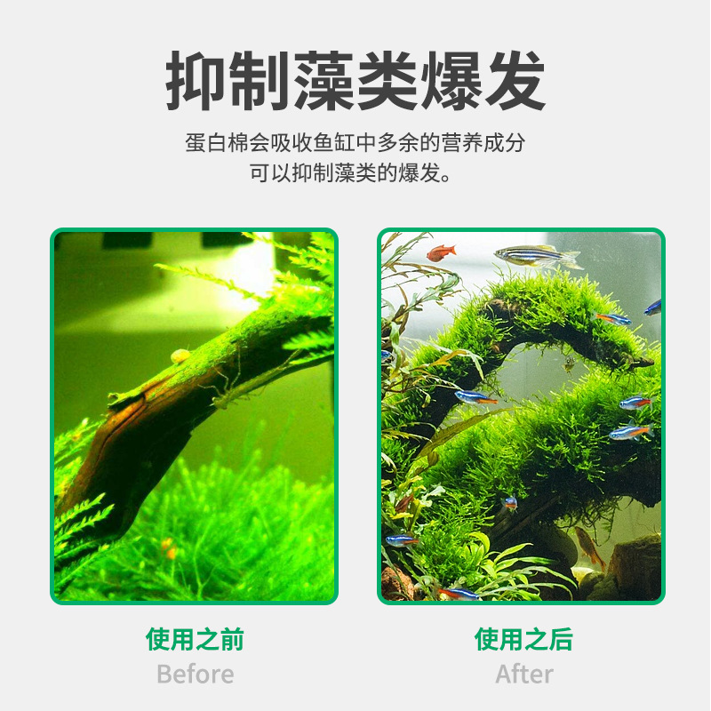 鱼缸去黄水蛋白棉净化水质除腥去臭去污丸污力丸净水宝滤材活性炭