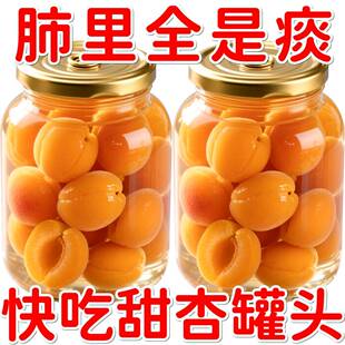 新鲜甜杏罐头当季鲜果餐饮烘焙即食水果捞专用黄杏罐头整箱办公室