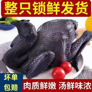 正宗乌骨鸡新鲜五黑鸡农家散养土鸡煲汤月子鸡滋补