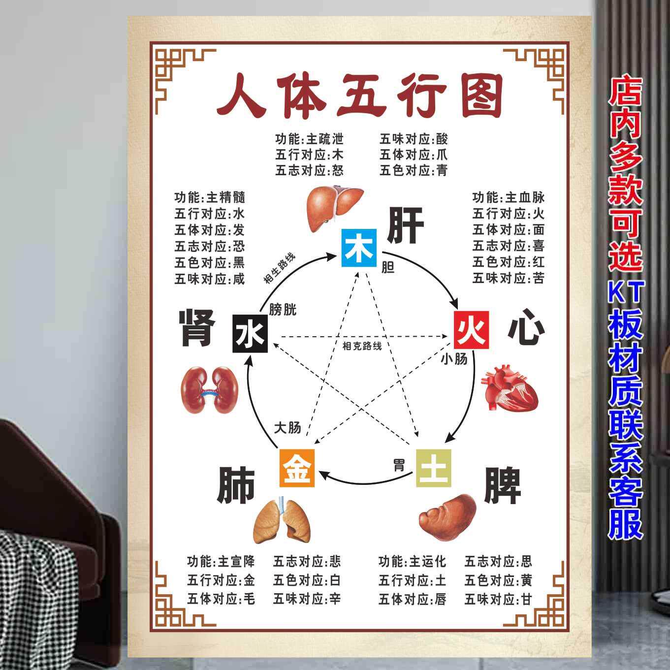 中医养生挂图人体五行图经络淤堵美容院理疗养生馆装饰画海报KT板