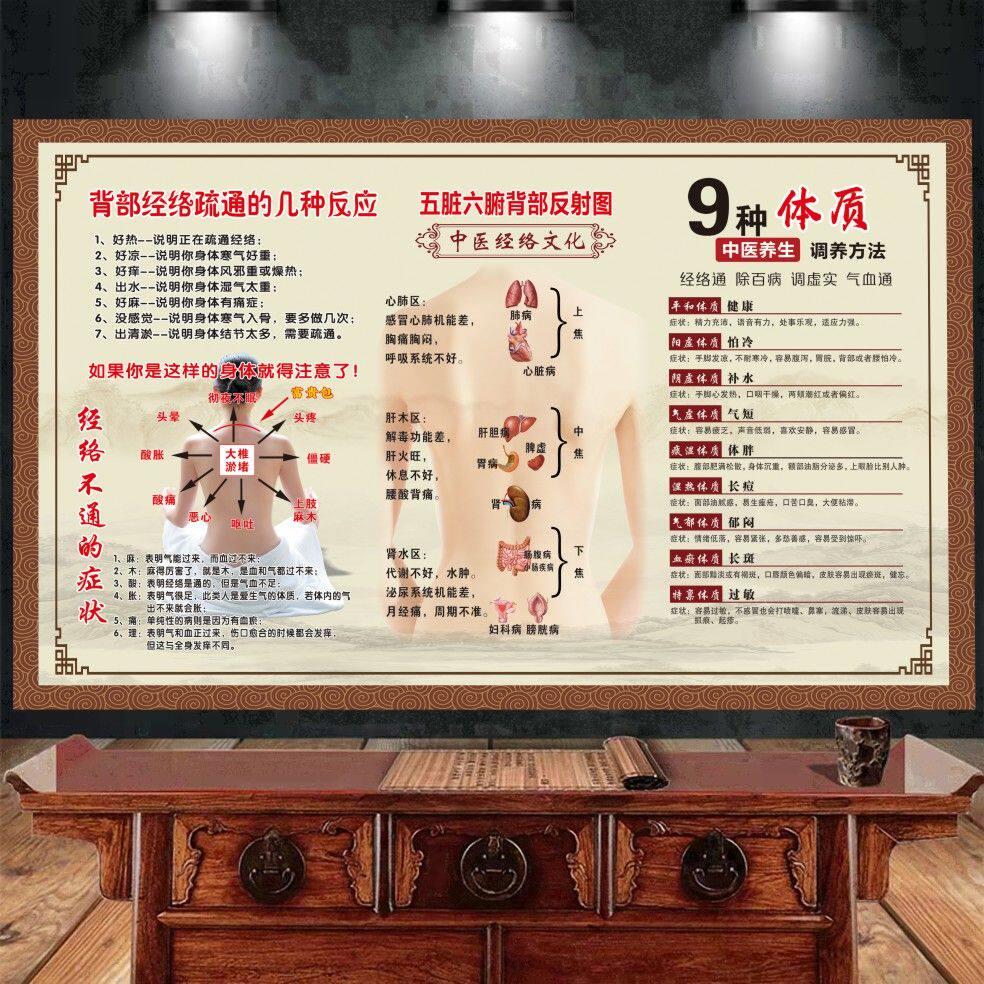 背部经络挂图中医养生馆理疗子午流注经络疏通装饰画宣传海报广告