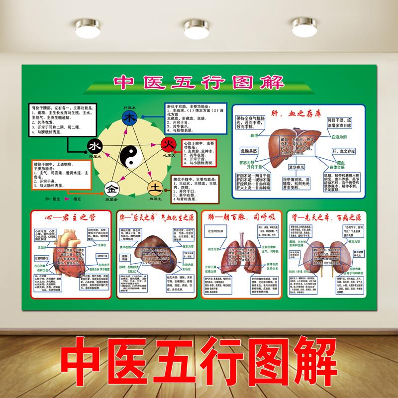中医阴阳五行图解海报贴纸人体金木水火土图片贴画广告宣传挂图