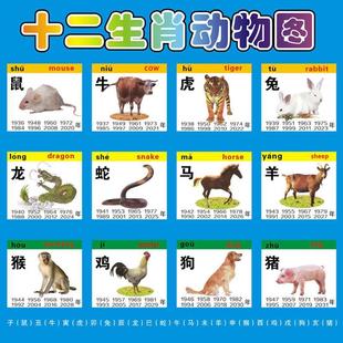 十二生肖属相动物海报画小鼠牛虎兔龙蛇马羊猴鸡狗猪图片墙贴画纸
