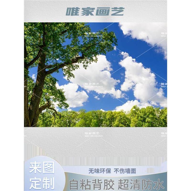 壁纸背景墙墙面贴画客厅卧室装饰自粘墙整张直播贴画壁画贴纸风景