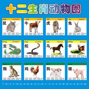 十二生肖动物海报画小鼠牛虎兔龙蛇马羊猴鸡狗猪属相图片墙贴纸画