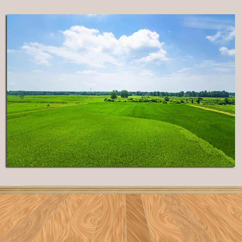 绿色草地卧室蓝天白云装饰画壁画客厅卧室书房绿色护眼自粘画海报