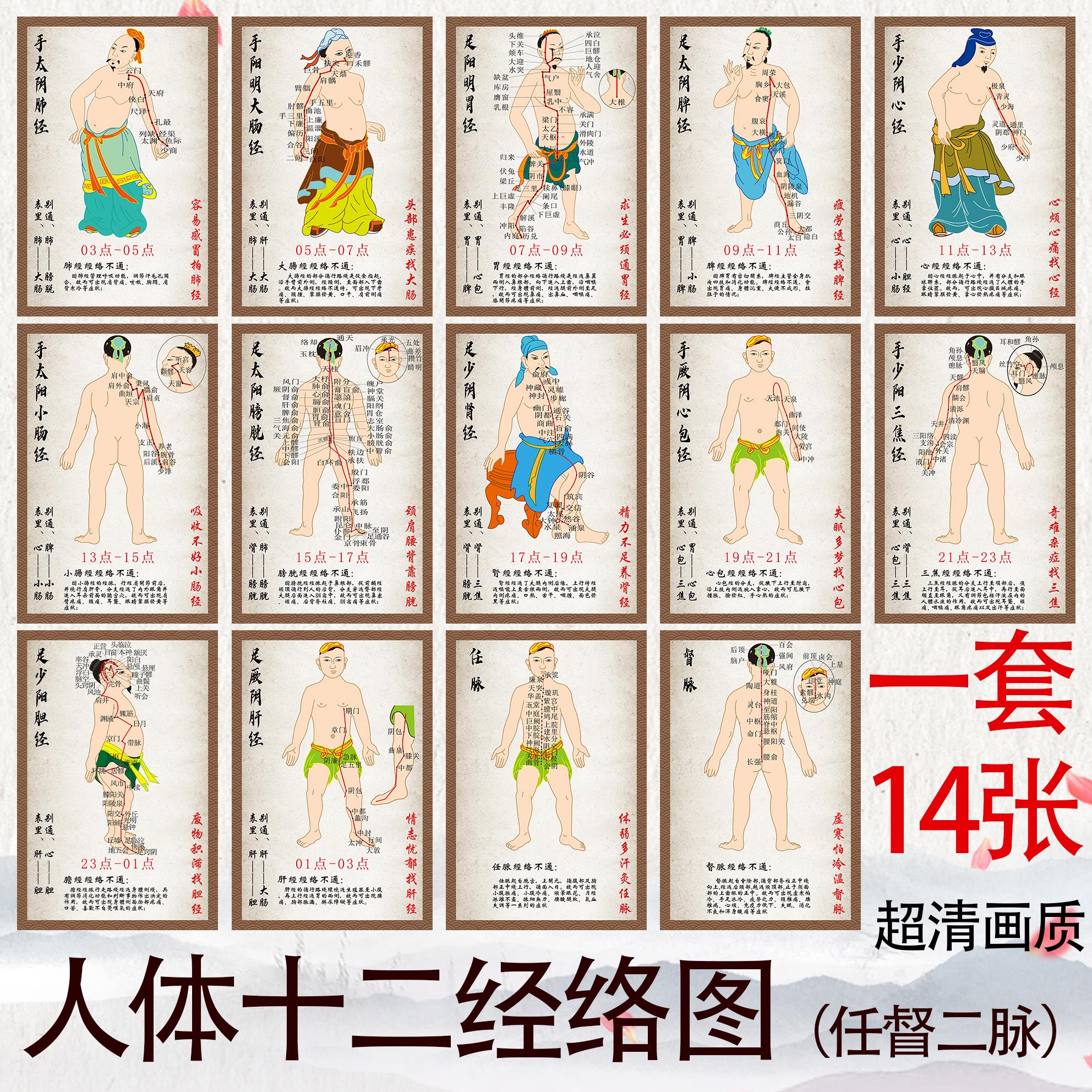 人体十四经络图 中医馆挂画海报墙贴送老人记穴位十二经络图解