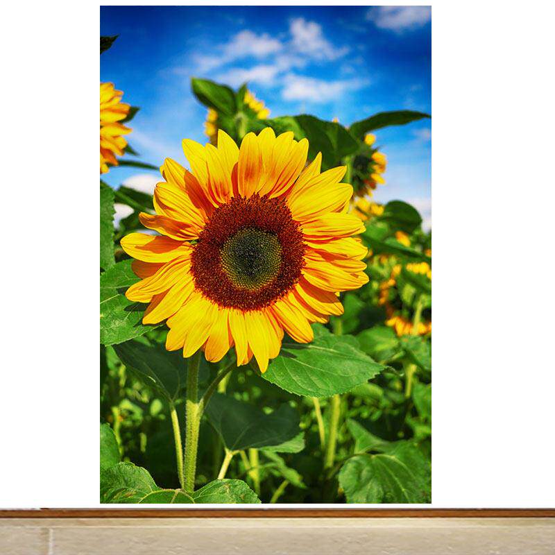 竖版向日葵玄关风景自粘贴画客厅走廊卧室背景墙装饰画海报墙贴画