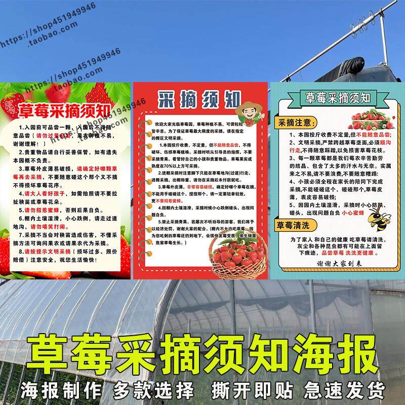 草莓采摘须知注意事项海报贴纸广告草莓园入园须知温馨贴纸自粘画