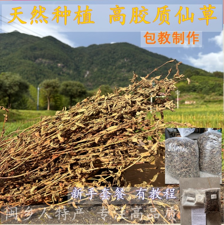 高胶仙草干仙草冻黑凉粉草粿草汁正宗草龟苓膏烧仙草草干