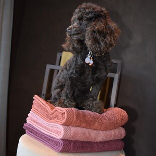 比利时浴巾纯棉柔软亲肤柔软亲肤加厚FRO