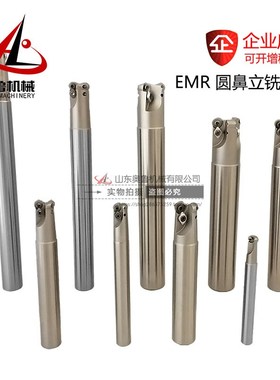 TRS EMR-5R-20 21 25 26 30 35 40-150/200/300L圆鼻数控立铣刀杆
