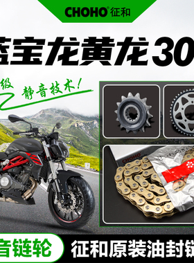 黄龙BJ300GS BN300/302 蓝宝龙F300静音套链牙盘链轮征和油封链条