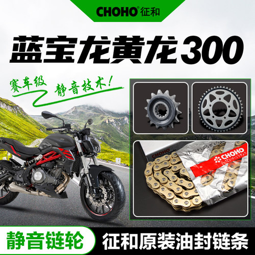 黄龙BJ300GS BN300/302 蓝宝龙F300静音套链牙盘链轮征和油封链条