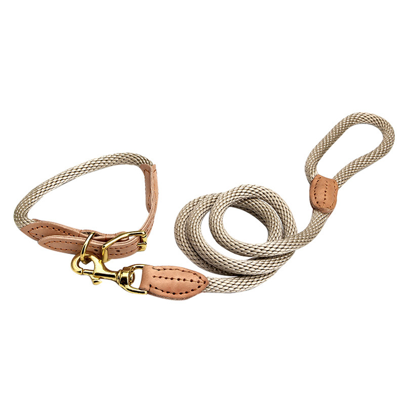 狗狗牵引绳项圈大型犬金毛专用中型犬小型犬博美比熊泰迪可爱遛狗