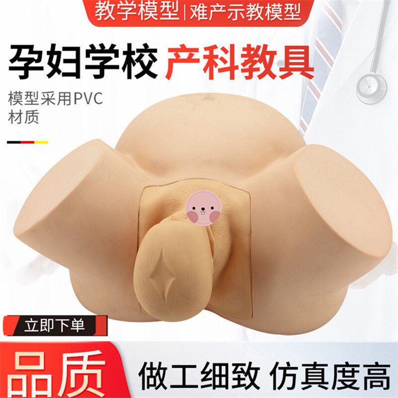 助产示教训练模型/演示标准分娩程序/演示正常异常胎Z位分娩难产