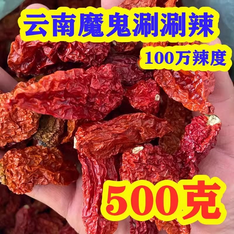 巨超特辣死神变态魔鬼断魂t辣椒王朝天椒可加工粉面 云南涮涮辣1