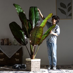 大型仿真芭蕉假树热带阔叶植物盆景室内商场仿生绿植造景装饰摆件