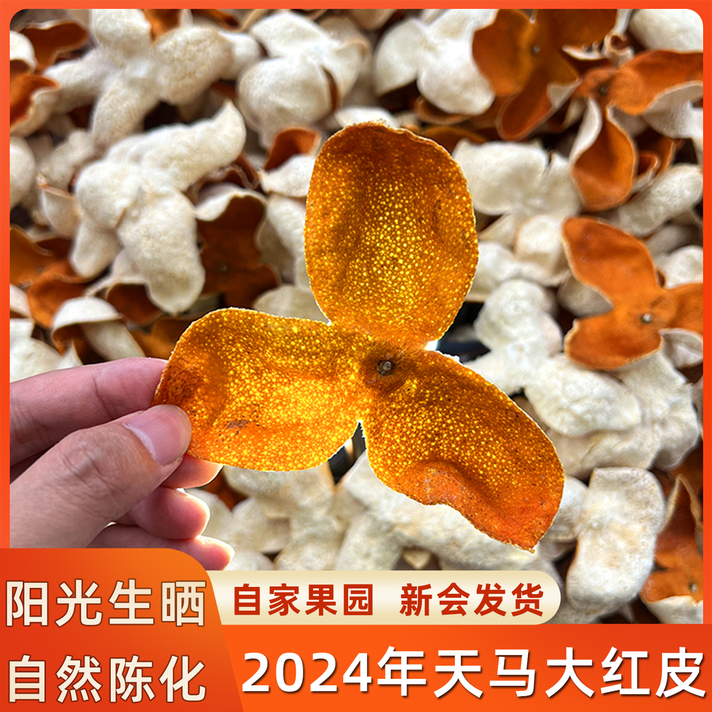 2024年新会大红皮一年天马新皮