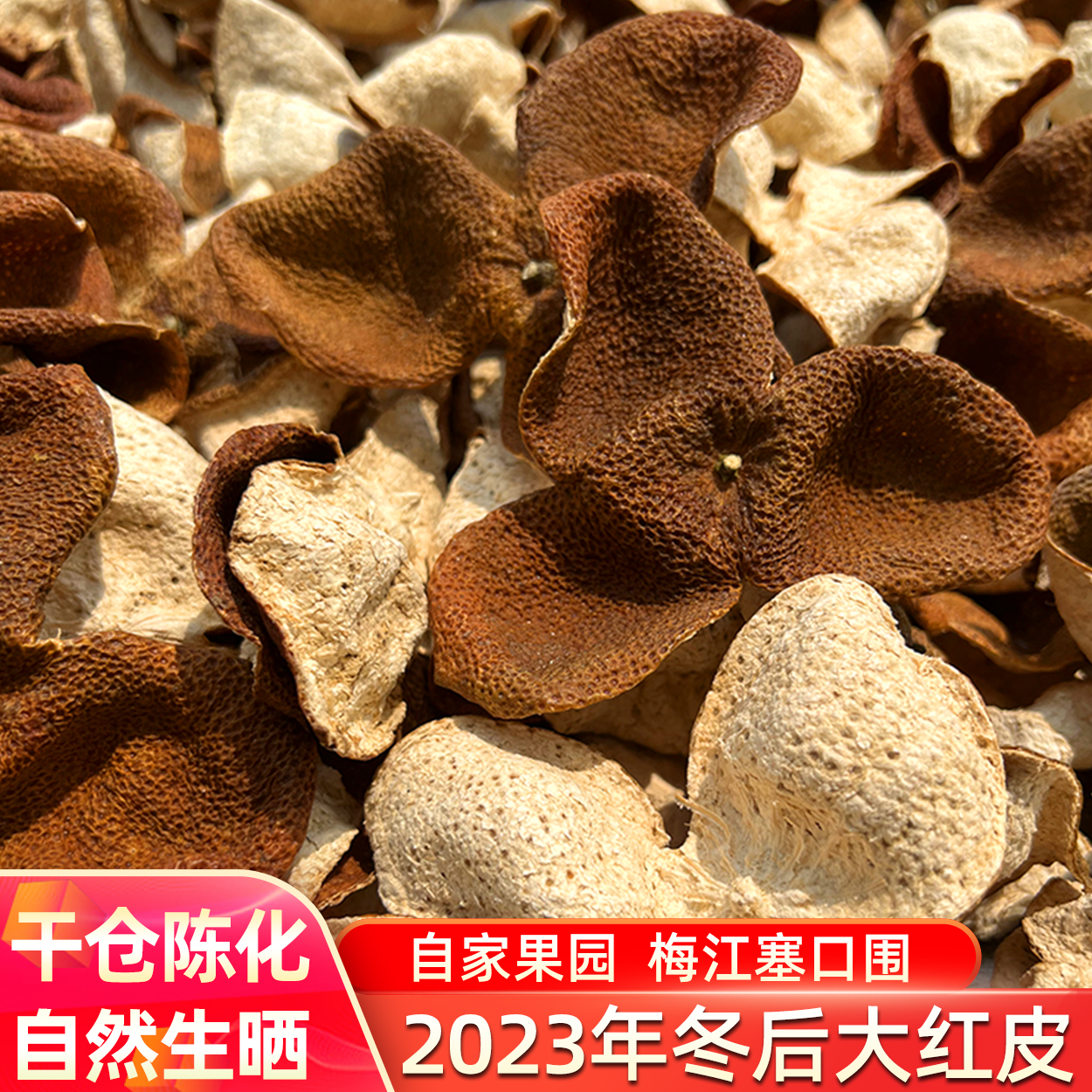 2023年新会梅江圈枝冬后大红皮