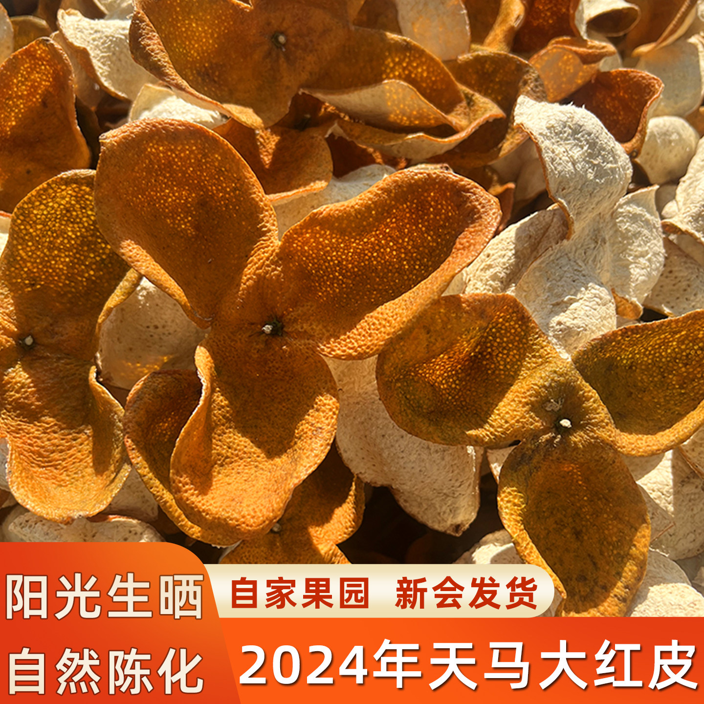 2024年新会冬后天马大红皮新皮广东生晒陈皮老树圈枝柑官方旗舰店