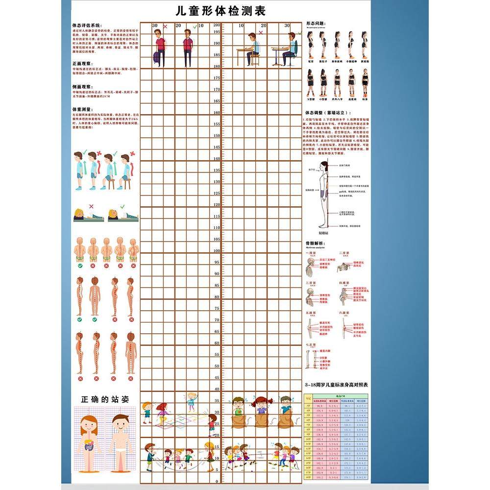 儿童体态身高评估表站姿体测网格背景墙纸幼小中青少年体测评估图