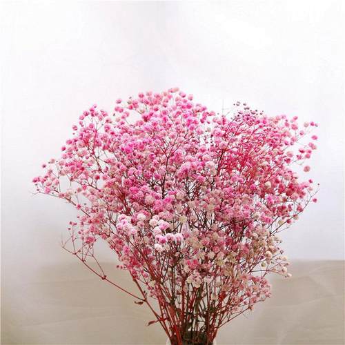 满天星永生干花花束家居摆设客厅装饰办公摆件永生花干花礼物花束