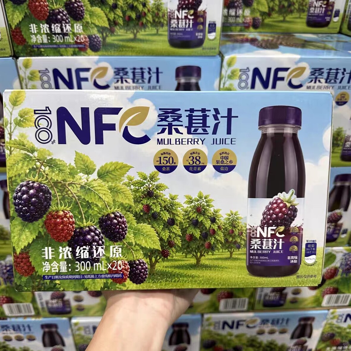 山姆NFC桑葚汁300mL晚熟鲜果果香浓郁轻负担下午茶休闲饮品