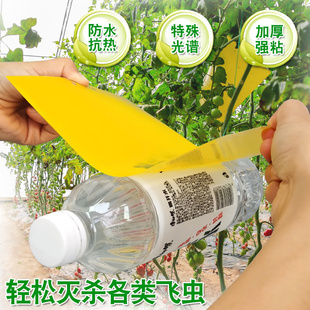 粘虫板黄板诱虫板纸贴双面黄色沾黏蚊子杀黑虫胶灭小飞虫果蝇大棚