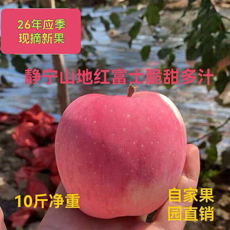 精品甘肃静宁红富士苹果10斤净重静宁苹果应季脆甜多汁农家直销